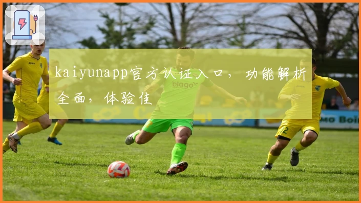 kaiyunapp官方认证入口，功能解析全面，体验佳