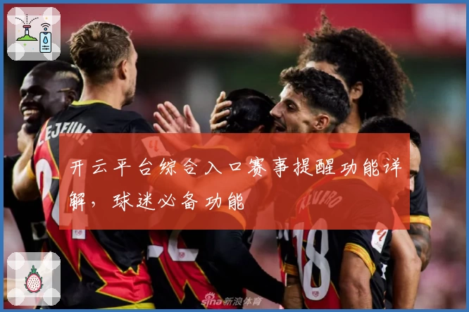 开云平台综合入口赛事提醒功能详解，球迷必备功能